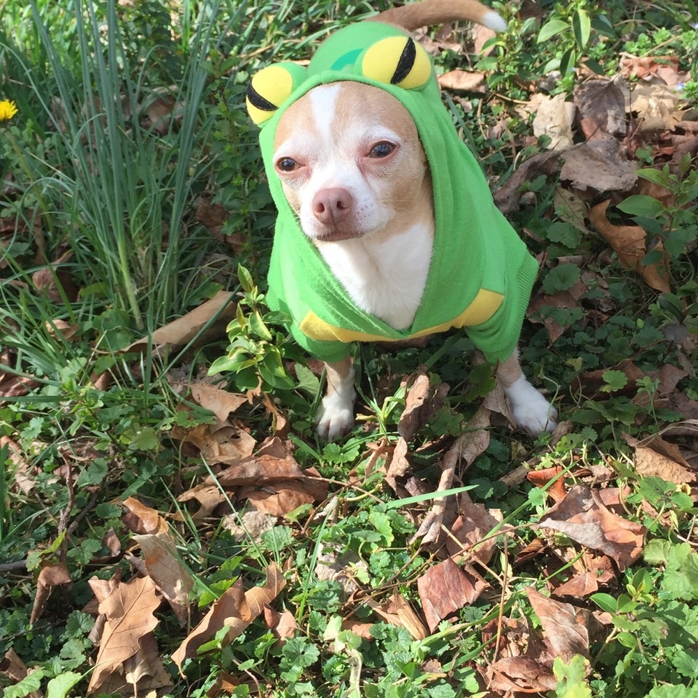 Meet your Posher, Jessica